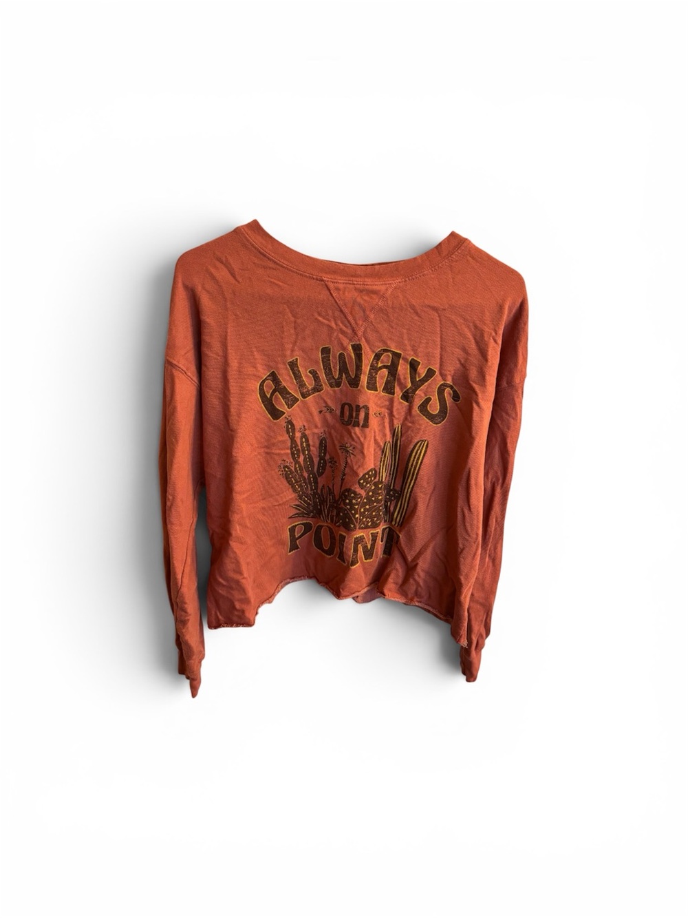 Rust Orange Graphic Cropped Sweatshirt - "Always on Point" size L